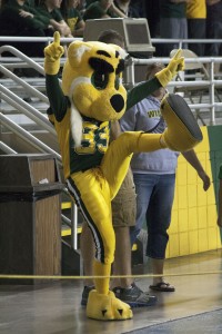 Wildlcat Willy has been cheering on his fellow 'Cats and marching in NMU parades for over 30 years. Five secret students bring Willy to life at events. (Photo: Anthony Viola)